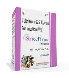 Veterinary Injection - Pheniramine Maleate Injection IP Manufacturer ...