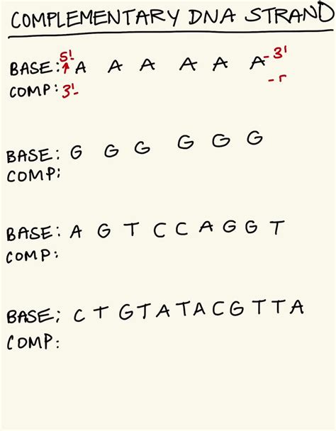 Base Sequence Of Dna