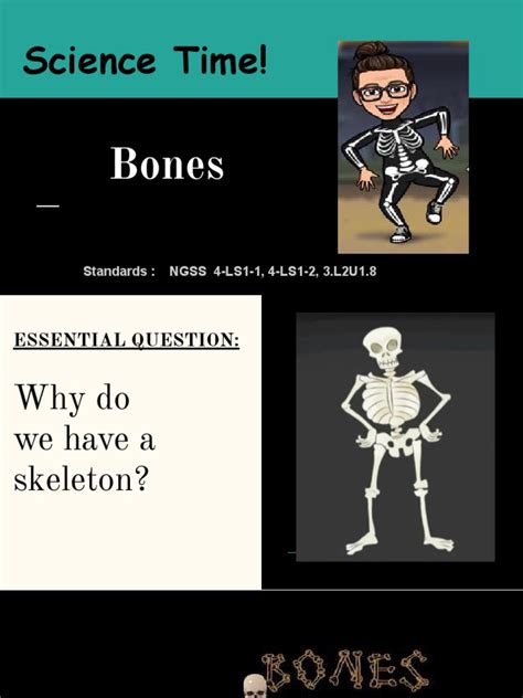 Image result for Magic Bone Lesson Plan