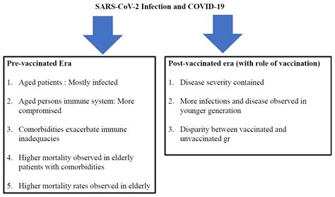 Cellular and Molecular Mechanisms of Pathogenic and Protective Immune ...