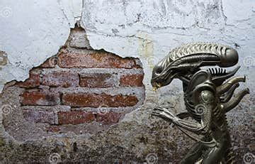 Alien Figure 的图像结果