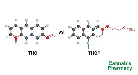 THCP vs. THC: Is It Really 33x Stronger?