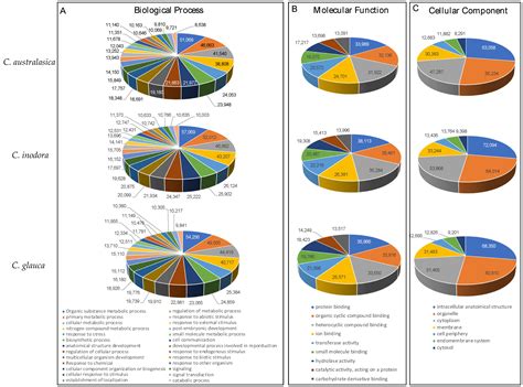 Chromosome-Scale, De Novo, Phased Genome Assemblies of Three Australian ...
