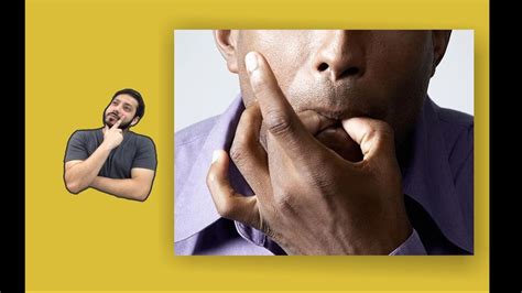 whistledwhistledlanguage2022已更新今日图集