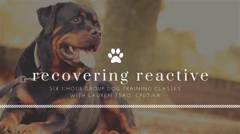 Image result for Reactive Behavior