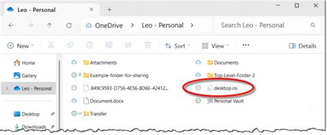 Ini Files On Desktop 的图像结果