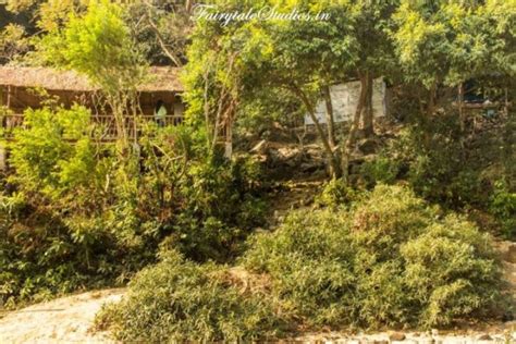 Dawki, Shnongpdeng and Adventure sports with Pioneer Adventures
