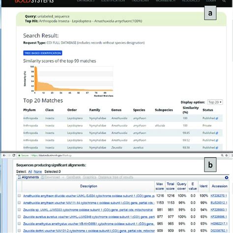 Image result for DNA Barcoding Bioinformatics