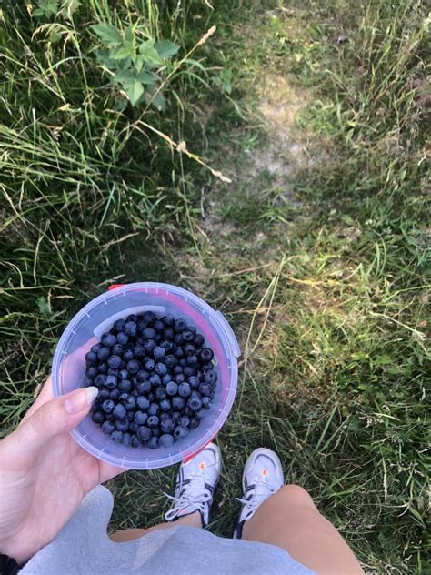 Blueberry season🫐 : r/redscarepod