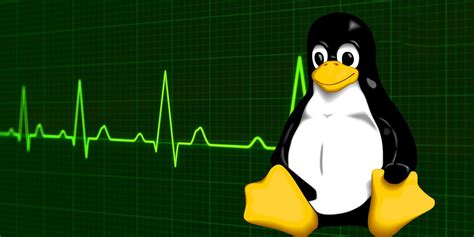 Programs Kill 的图像结果