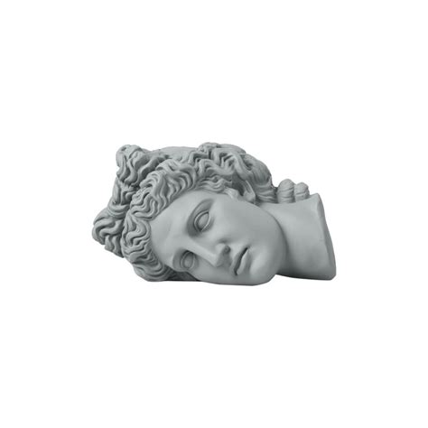 Sophia | Apollo Head Horizontal | Now in India – Mérci Dehradun