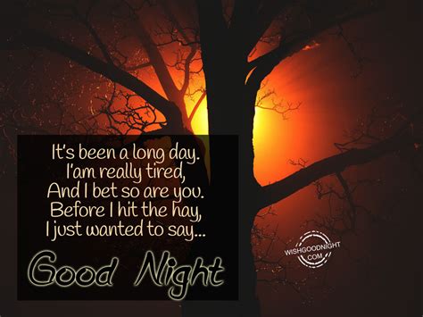 I just wanted to say good night - Good Night Pictures – WishGoodNight.com