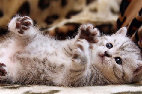 17 GIFs Everyone Should Look At Before Raging On The Internet