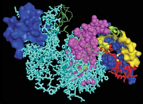 Java Programming Sema 4 的图像结果