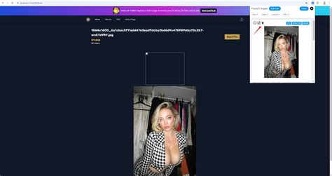 Comment télécharger toutes les images des albums publics de Bunkr ...