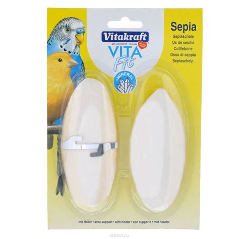 Buy Vitalkraft Natural Product The Sea Cuttle Full of Calcium Bone ...