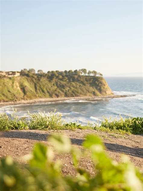 South Bay Mini-Sessions — Millay & Young Photography