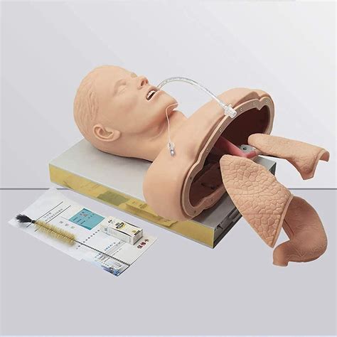 IumLeap Airway Management Trainer, Training Manikin, India | Ubuy