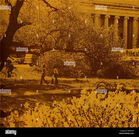 The 1974 course catalog outlines the academic offerings, degree ...