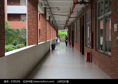 学校走廊文化设计,提升校园文化内涵—聚桥文化