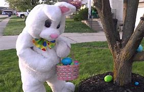 Image result for Easter Bunnies House