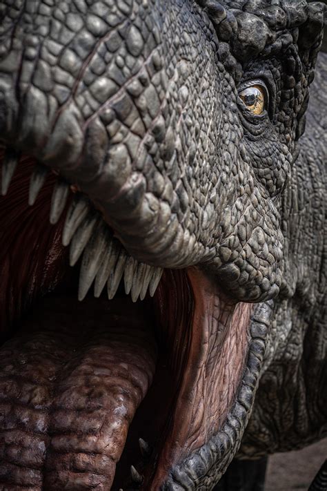 Image result for Python T-Rex