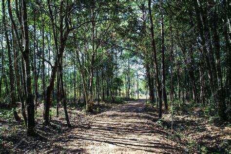 Walk-In Nature 的图像结果