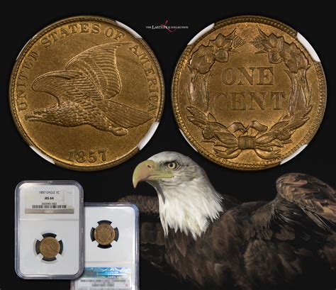 Alan's Coin Blog — 1857 Flying Eagle Cent Grade: NGC MS 64 ...