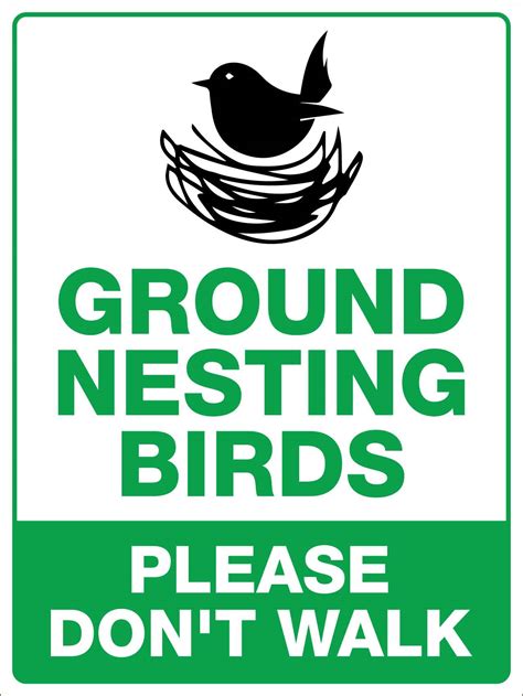 Ground Nesting Birds