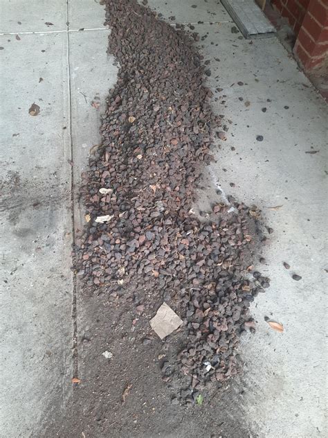 Drainage scoria yay or nay for paving or concrete bedding? : r/landscaping