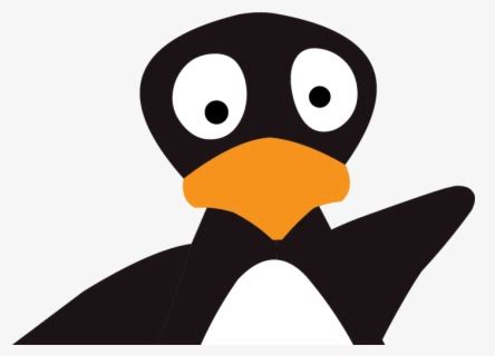 Image result for ST Math Peguin