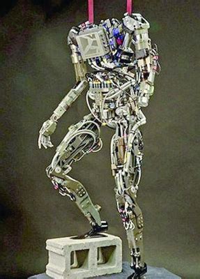 美军最先进人形机器人 外形酷似“终结者”(图)-搜狐滚动
