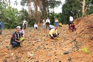 ICAR-CIARI establishes Pandanus Gene Bank | ICAR