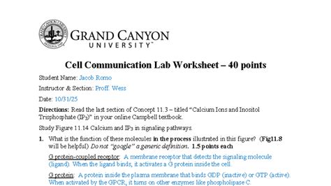 Image result for Cell Communication Lab