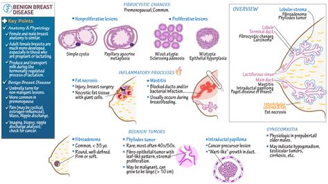 Pathology: Benign Breast Diseases (Mastitis, Fibrocystic changes, etc ...