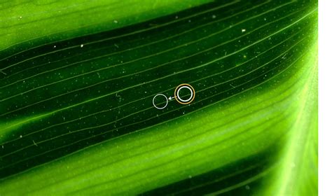 Adobe Learn - Learn Lightroom Remove lens dust