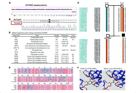 Image result for Copy Number Variation Mutation