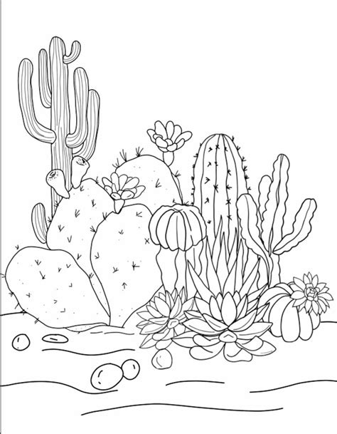 Cacti Coloring Pages Coloring Pages