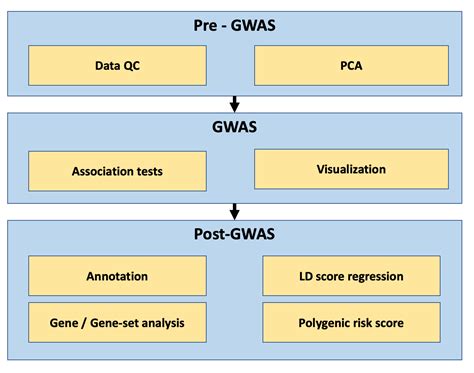 Image result for GWAS Software