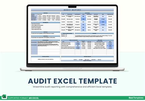 Excel Audit Tool 的图像结果