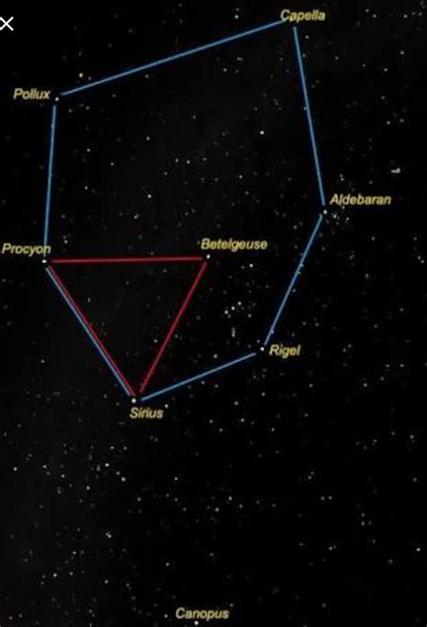Which constellation contains the supergiant star Betelgeuse? - Brainly.in