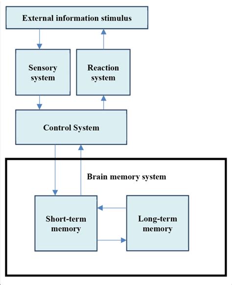 The Information Processing Model Three Memory Systems 的图像结果