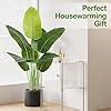Buy Keeplush Lifelike Bird of Paradise Artificial Plant 4ft Faux Banana ...