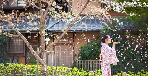 【日本】京都——个人写真-来自帕菲魔门环球旅拍客照案例 |婚礼时光