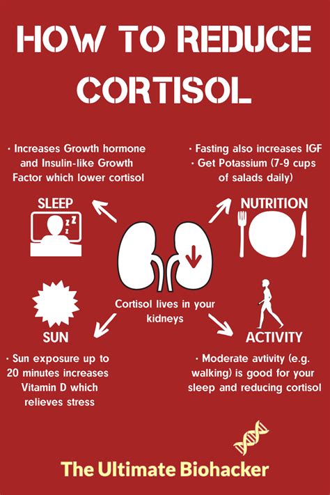 homeopathic ways to lower cortisol