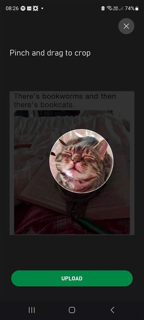 Image result for Xbox Profile Picture Tutorial