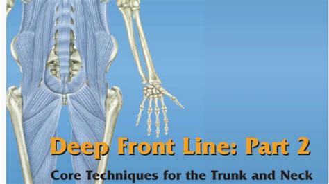 Image result for Anatomic Front Line