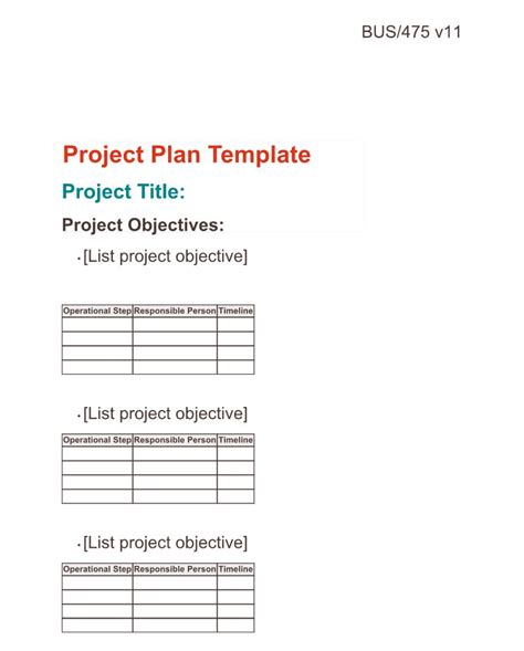 Image result for Project Plan Objectives Examples