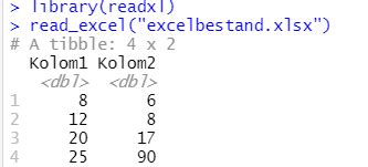 Library Installing 的图像结果