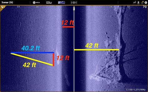 Image result for How to Read Side Scan Imaging